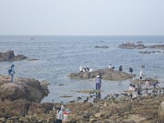 -养马岛旅游度假区