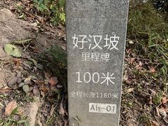 -梧桐山风景名胜区