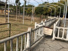 -常州淹城野生动物世界