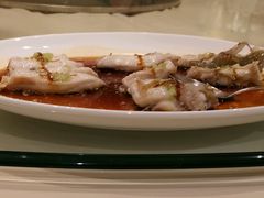 石锅东星斑-利苑酒家(华熙国际店)