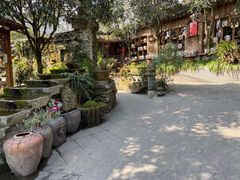 -青城甲(青城山店)