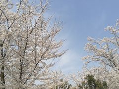 -堤角公园