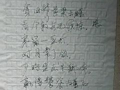 -古陶文明博物馆