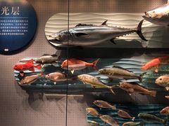 -贝林大翅鲸简餐厅(国家海洋博物馆店)