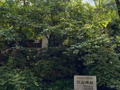 -北山公园