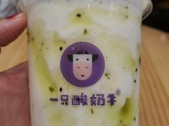 -一只酸奶牛(八一路店)