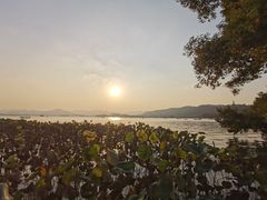 -杭州温德姆至尊豪廷大酒店