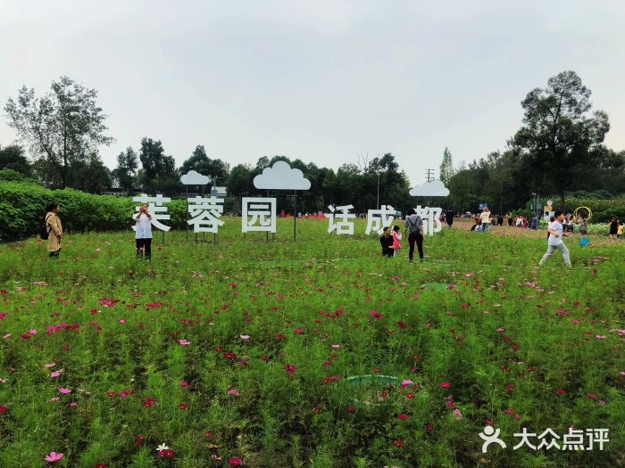 天府芙蓉园图片