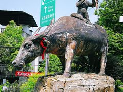 -南山植物园