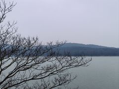 -水上明月·湖景餐厅