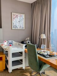 -大美母婴月子专护中心(紫峰店)