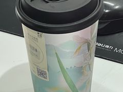 -雾与山茶(大禹城店)
