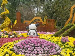 -南山植物园