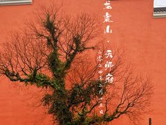 -江西龙虎山景区