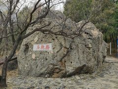 -阳台山自然风景区