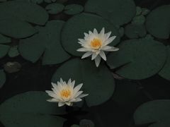 -宁波杭州湾国家湿地公园
