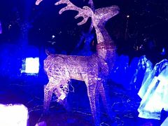 -长春公园(普阳街道)