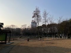 -后襄河公园