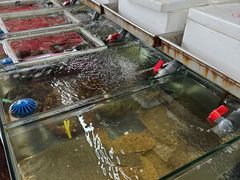 -东海金街市场