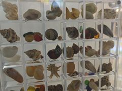 -亚龙湾亚泰商业街