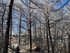 -崂山巨峰游览区