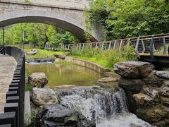 -白水寺森林公园