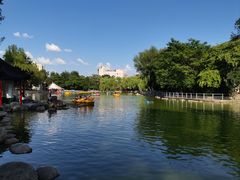 -莲湖公园