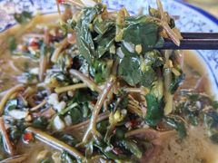 马齿笕-瑶河山里菜