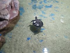 -邯郸海洋世界