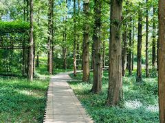 -国家植物园南园