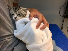 -PETKIT 小佩宠物·低压洗护·美容·寄养(安远店)