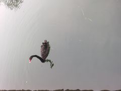 -武汉动物园