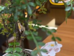 -CURRY YA 熟成咖哩專門店(深圳湾万象城店)