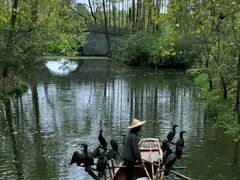 -溱湖国家湿地公园