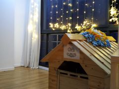 -Husky Go! 哈士奇体验馆·宠物咖啡厅狗咖