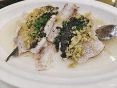 -坚记酒家·佛山老字号·顺德鱼生标准示范店