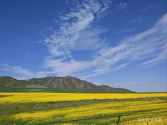 -扁都口生态休闲旅游区