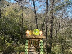 -大岭沟猕猴桃谷风景区