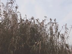 -东湖磨山景区