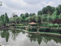 -静之湖度假区