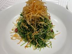 巧拌豆苗-四季民福烤鸭店(王府井灯市口店)