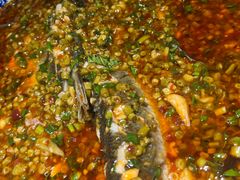 -高坎一品甲鱼庄(两河店)