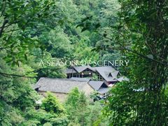 -大奇山国家森林公园