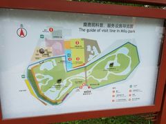 -北京麋鹿生态实验中心