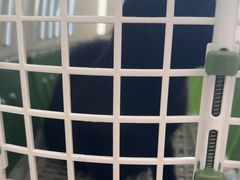 -德元·美联众合24小时动物医院(总院)