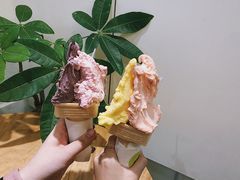 柠檬车露-柠檬车露(卖草地店)