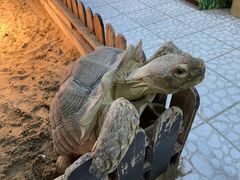 -上海大自然野生昆虫馆