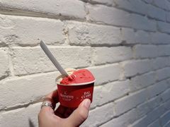 -Dal Cuore 达可芮冰淇淋(陕西北路店)