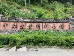 -四川汶川特大地震漩口中学遗址