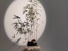 -武汉美术馆(汉口馆)